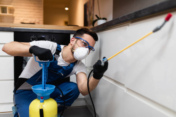 Professional Pest Control in Hunter, OH