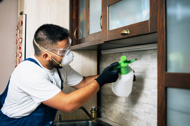 Best Bed Bug Extermination  in Hunter, OH