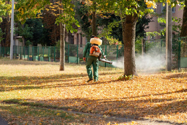 Best Bed Bug Extermination  in Hunter, OH