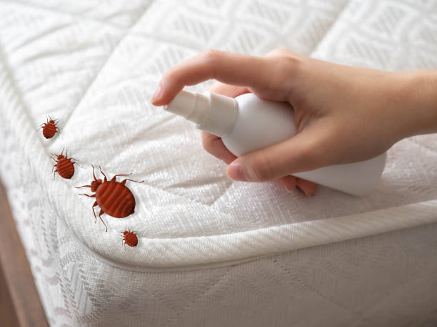 Best Best Pest Control Companies  in Hunter, OH