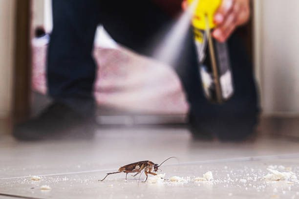 Best Mosquito Control Services  in Hunter, OH