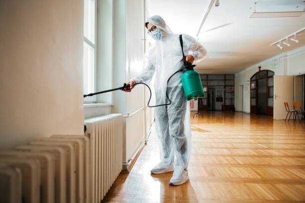 Best Termite Control Services  in Hunter, OH