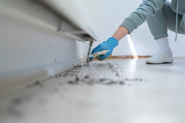 Best Affordable Pest Control Services  in Hunter, OH